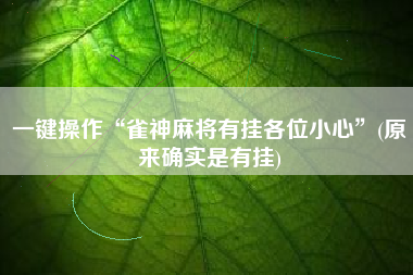 一键操作“雀神麻将有挂各位小心”(原来确实是有挂)