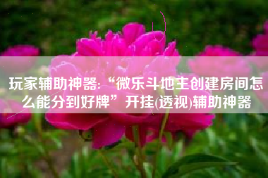 玩家辅助神器:“微乐斗地主创建房间怎么能分到好牌	”开挂(透视)辅助神器