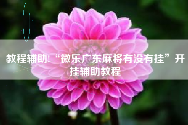 教程辅助!“微乐广东麻将有没有挂	”开挂辅助教程