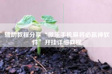 辅助教程分享“微乐手机麻将必赢神软件”开挂详细教程