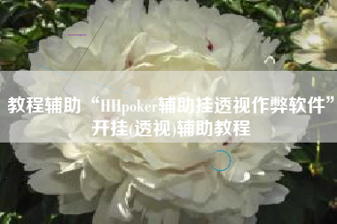 教程辅助“HHpoker辅助挂透视作弊软件	”开挂(透视)辅助教程