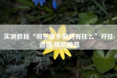 实测教程“微乐家乡麻将有挂么	”开挂(透视)辅助神器