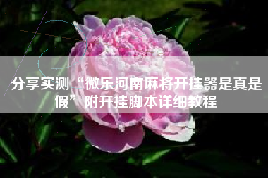 分享实测“微乐河南麻将开挂器是真是假”附开挂脚本详细教程