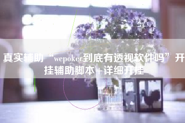 真实辅助“wepoker到底有透视软件吗	”开挂辅助脚本+详细开挂