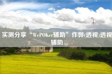 实测分享“WePOKer辅助	”作弊(透视)透视辅助