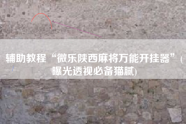 辅助教程“微乐陕西麻将万能开挂器”(曝光透视必备猫腻)