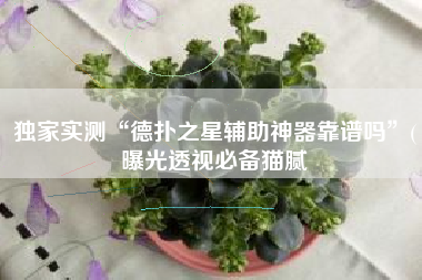 独家实测“德扑之星辅助神器靠谱吗”(曝光透视必备猫腻