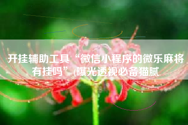 开挂辅助工具“微信小程序的微乐麻将有挂吗”(曝光透视必备猫腻