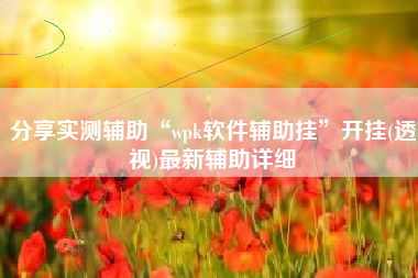 分享实测辅助“wpk软件辅助挂”开挂(透视)最新辅助详细