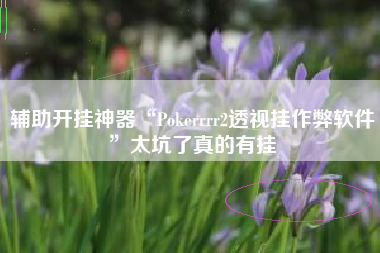 辅助开挂神器“Pokerrrr2透视挂作弊软件”太坑了真的有挂