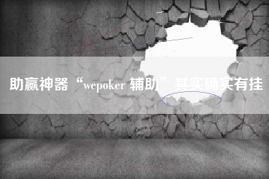 助赢神器“wepoker 辅助	”其实确实有挂