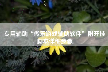 专用辅助“微乐游戏辅助软件”附开挂脚本详细步骤
