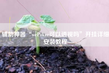 辅助神器“wePoker可以透视吗”开挂详细安装教程