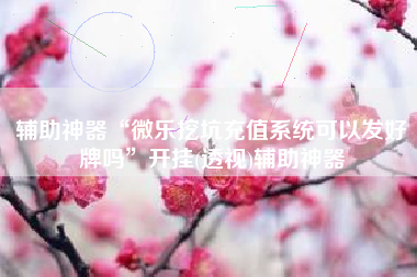 辅助神器“微乐挖坑充值系统可以发好牌吗	”开挂(透视)辅助神器