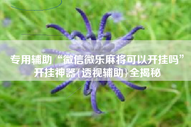 专用辅助“微信微乐麻将可以开挂吗	”开挂神器{透视辅助}全揭秘