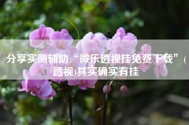 分享实测辅助“微乐透视挂免费下载”(透视)其实确实有挂