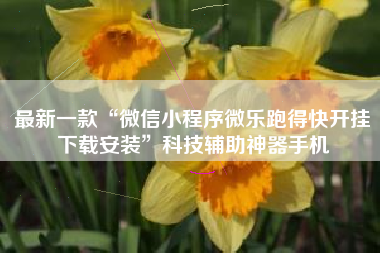 最新一款“微信小程序微乐跑得快开挂下载安装”科技辅助神器手机