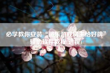 必学教你安装“微乐游戏房主给好牌”辅助软件教程(透视)