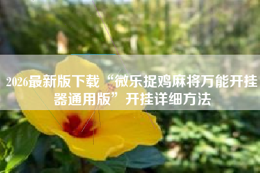 2026最新版下载“微乐捉鸡麻将万能开挂器通用版”开挂详细方法