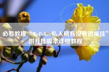 必看教程“WePoKer私人局有没有透视挂”附开挂脚本详细教程