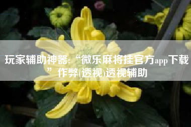 玩家辅助神器:“微乐麻将挂官方app下载”作弊(透视)透视辅助