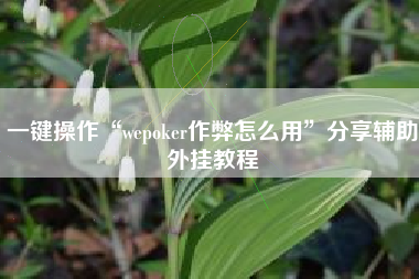 一键操作“wepoker作弊怎么用	”分享辅助外挂教程