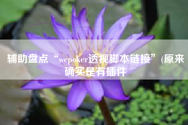 辅助盘点“wepoker透视脚本链接	”(原来确实是有插件