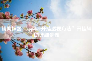 辅助神器“appoker开挂透视方法”开挂辅助详细步骤