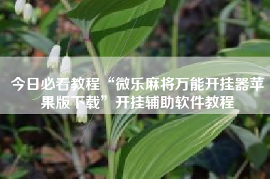 今日必看教程“微乐麻将万能开挂器苹果版下载”开挂辅助软件教程