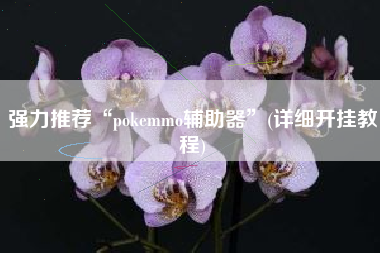 强力推荐“pokemmo辅助器”(详细开挂教程)