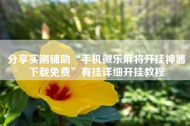 分享实测辅助“手机微乐麻将开挂神器下载免费”有挂详细开挂教程