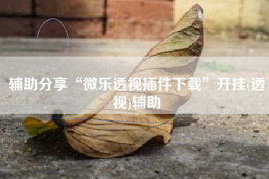 辅助分享“微乐透视插件下载”开挂(透视)辅助