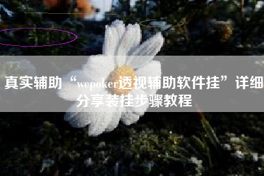 真实辅助“wepoker透视辅助软件挂”详细分享装挂步骤教程