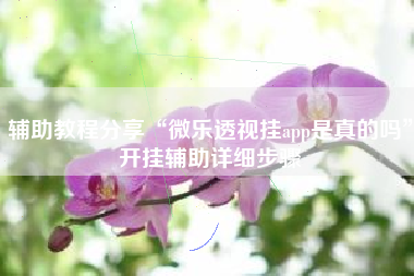 辅助教程分享“微乐透视挂app是真的吗”开挂辅助详细步骤