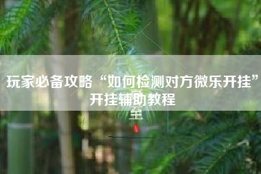 玩家必备攻略“如何检测对方微乐开挂”开挂辅助教程