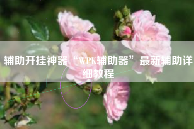 辅助开挂神器“WPK辅助器	”最新辅助详细教程