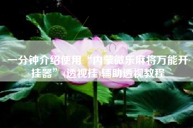 一分钟介绍使用“内蒙微乐麻将万能开挂器”(透视挂)辅助透视教程