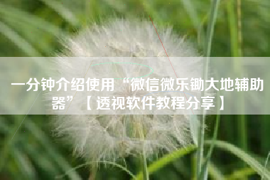 一分钟介绍使用“微信微乐锄大地辅助器	”【透视软件教程分享】