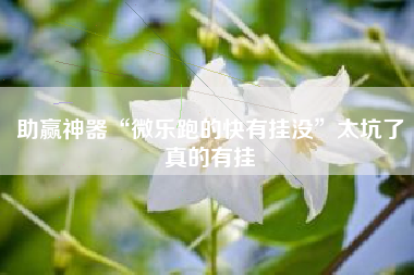 助赢神器“微乐跑的快有挂没”太坑了真的有挂