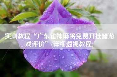 实测教程“广东雀神麻将免费开挂器游戏评价	”(详细透视教程)