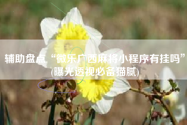 辅助盘点“微乐广西麻将小程序有挂吗”(曝光透视必备猫腻)