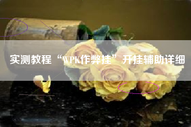 实测教程“WPK作弊挂”开挂辅助详细