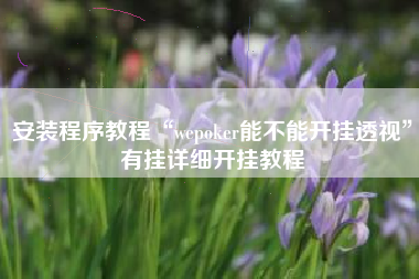 安装程序教程“wepoker能不能开挂透视	”有挂详细开挂教程