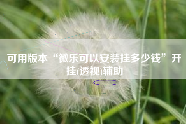 可用版本“微乐可以安装挂多少钱”开挂(透视)辅助
