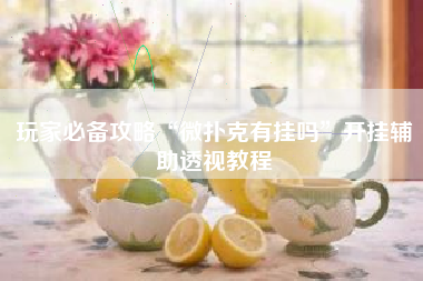 玩家必备攻略“微扑克有挂吗”开挂辅助透视教程