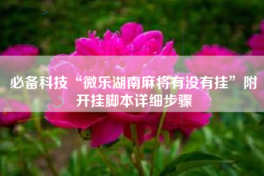 必备科技“微乐湖南麻将有没有挂”附开挂脚本详细步骤