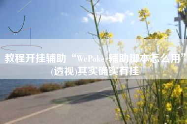 教程开挂辅助“WePoker辅助脚本怎么用”(透视)其实确实有挂