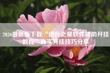 2026最新版下载“德扑之星软件辅助开挂教程	”真实开挂技巧分享