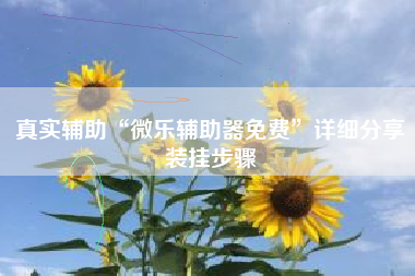 真实辅助“微乐辅助器免费”详细分享装挂步骤