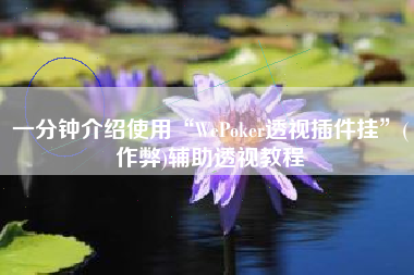 一分钟介绍使用“WePoker透视插件挂”(作弊)辅助透视教程